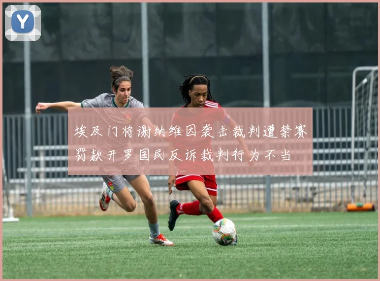 埃及门将谢纳维因袭击裁判遭禁赛罚款开罗国民反诉裁判行为不当